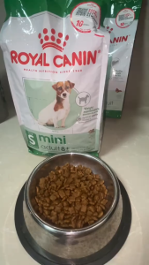 1kg Royal Canin Mini Dog Dogs Dry Food All Stages Adult Puppy Shih Tzu Bulldog Pomeranian Pet
