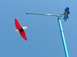 นกอินทรีย์ปลอม ไล่นกพิราบ ตกแต่งบ้านและสวน