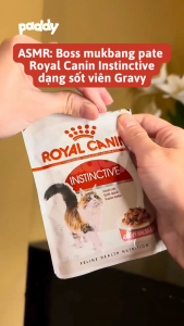 Pate Cho Mèo Trưởng Thành Royal Canin Instinctive Gravy Jelly Loaf