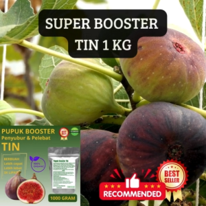 Pupuk Organik Booster Buah Tin Super Organik Penyubur Pelebat Buah Dan Anti Rontok 1000 gr