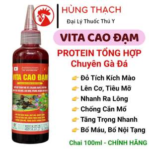 Vita Cao Đạm Protein tổng hợp 100ml thuốc nuôi gà đá tăng cân tăng cơ ăn nhiều ra lông chống mổ