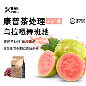 Bob Dylan Premium Hand-Poured Coffee Beans 200g Complementary Seasonal Kombucha Tea Processing Uraga Wachiti Region