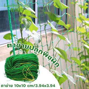 【Sabai_sabai】ตาข่ายปลูกพืชผัก อวนปลูกผัก ค้างปลูกผัก ตาข่ายสำหรับพืชไม้เลื้อย คุณภาพดี เน็ตตาข่ายสี่มุม