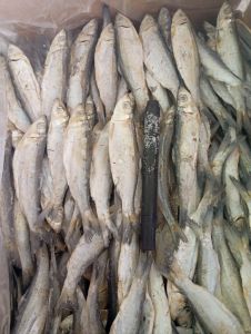 ikan asin peda JAPUH JUHI SERO Murah MERIAH!!!