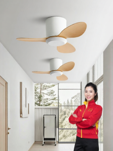 HUANGJIANG | Quiet Ceiling Fan Home And Commercial Use