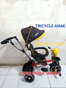 Sepeda Roda Tiga Balita Exotic 1265 - Jok Bisa Putar Dan Canopy