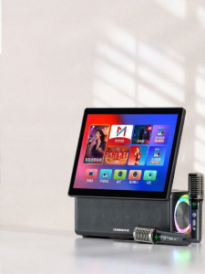 HUABAO | Karaoke KTV Bluetooth Speaker With Display