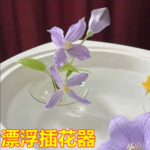 Minimalist Floating Flower Vase New Style Internet Famous Flower Pot Fresh Flowers Hydroponic Container Flower Pots Living Room Decor