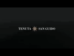 2022 Tenuta San Guido Guidalberto 750ml 14% Central Italy Toscana Merlot Red Wine