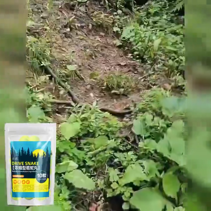 100 ปีไม่มีงู ไล่งู ผงไล่งู เม็ดไล่งู 10 เม็ด ยาไล่งูผงกํามะถันเพื่อป้องกันงูจากการซึม