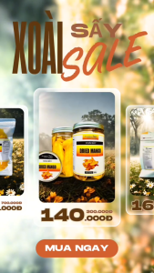 Xoài Sấy Dẻo cao cấp loại 1 đóng trong hộp nắp nhôm 500gr 300g xuonghatta
