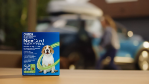 Nexgard Spectra and Nexgard Complete Parasite Protection for you Dogs