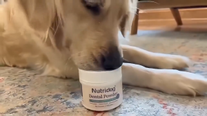Nuyridog Dental PowderDog&Cat Breath Freshenertooth cleaning powder with Probiotics 90g:Removes Plaque Tarter Stains & Freshens Breath for Dogs&Cats of All Ages