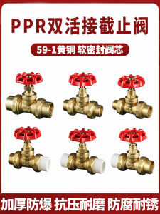พนักงานปิดน้ำแบบมีดเดี่ยวทองแดง PPR ขนาด 1 นิ้ว 2 ช่อง 25 วาล์วประตูน้ำแบบมีดเดี่ยว 20 นิ้ว ปิดน้ำแบบมีดเดี่ยว