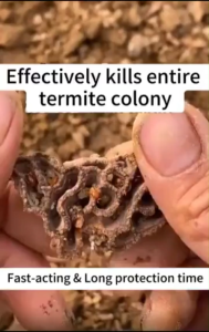 termite killer solution 500g termite killer for wood termite killer spray termite killer solution