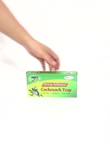 Wholesale Cockroach House Cockroach Powder Cockroach Sticky Trap Cockroach Killer Cockroach Trap Cockroach Sticker