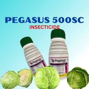 PEGASUS INSECTICIDE 250ML