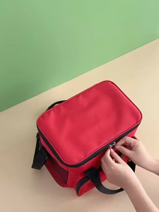Portable Multi-Pocket First Aid Organizer – Emergency Medicine Storage Bag