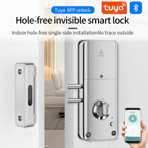 Handle Hidden Battery Anti Theft Smart Electronic Keyless Lock Security Entry With Tuya App Alexa Google Home Smart Door Lock