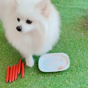 Sosis Kucing Sosis Anjing Snack Kucing Murah dan Berkualitas Dog and Cat Sausage 15g