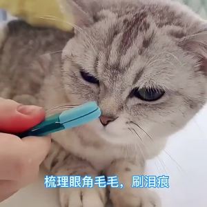 Dog Cat Cleaning Supplies Soft Pet Eye Rub Handheld Cats Tear Stains Brush Eye Care Pets Cleaning Grooming Tools Cat Accessories