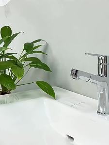 Kohler | Retractable Hot & Cold Face Basin Faucet