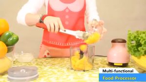 All IN 1 Food Processor Kitchen Appliance - MULTI-FUNCTIONAL Electric Meat Grinder