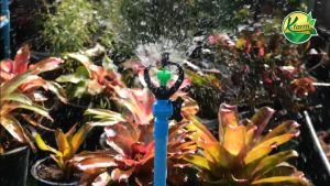 สปริงเกอร์ ใบทูเวย์ ให้น้ำไกล โครงหมุนรอบตัว สีเขียว พร้อม 6 หุน และ 12 หุน วาล์วหางปลา สวมท่อ 4 หุน และ 6 หุน สPRINKLER K FARM