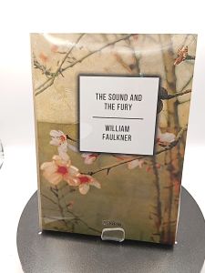 The Sound and the Fury by William Faulkner