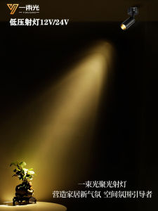 Focused Beam Spotlight Low Voltage 12V/24V for Living Room Tea Room Museum Buddha Hall Atmosphere Decoration LED Lamp Lighting