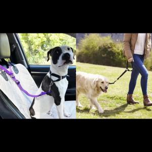 Pet products car seat belt dog leash with buffer elastic reflective safety rope leash dog rope