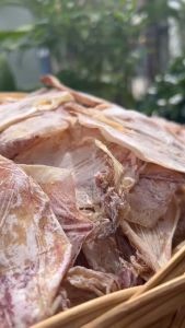 หมึกแห้งผ่า G4 ตัวสวย ไม่เค็ม สดใหม่ จากทะเลปากน้ำ ปราณ