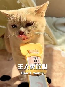 Sendok Snack Makanan Kucing MultiFungsi Sendok Pendorong Snack Anabul Alat Makan Pet Wet Treat Spoon Strip Squeezer Sendok Pendorong Alat makan hewan peliharaan BRG