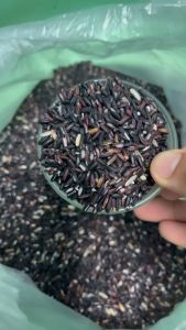 ข้าวเหนียวดำใหม่ ปลอดสารเคมี "ข้าวก่ำ (ข้าวซ้อมมือลืมผัว) บรรจุถุงละ 1 กิโลกรัม