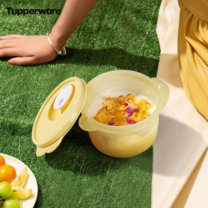 Tupperware | Microwavable Sectional Lunch Box