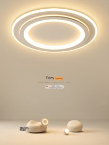 Simple Modern Young Adults Ceiling Light