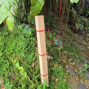 ไม้ยางพาราแผ่น ไม้แผ่น ไม้ระแนง ไม้ซี่ระแนง ซี่ระแนง เนื้อไม้เต็ม กว้าง4xยาว100x ซม.หนา1.2 ซม. รีดไสเรียบ 4 ด้านฟรี 1 มัด มี 10แผ่น งานไม้ DIY หรือระแนงไม้ งานตกแต่งบ้าน พร้อมใช้งาน งานดี