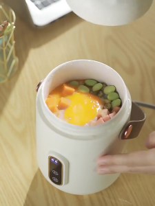 【SG STOCK】 Electric Stew Pot Mini Rice Cooker Multifunction Portable Pot Non-Stick Instant Noodle Pot Tea Pot