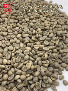 Ethiopia Green Coffee Beans Yirgacheffe  G2 Washed Unroasted
