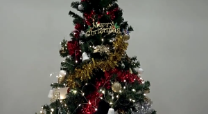 SG Local Led Battery Copper Wire String Lights Fairy Lights Festival Party Wedding Christmas Outdoor Party 3Modes Led  Hari raya Decoration Light