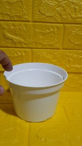 3 pcs. / set – Premium Quality White Plastic Pot (Ht. 4.5 Inches Opening 6 inches) [Stock Code: No.6 ] [BUY 1 TAKE FREE 1 Pc. 2 to 3 leaves Philodendron or Pothos cutting randomly picked by Seller]