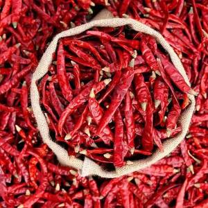Extremely Spicy Dried Chili Pepper