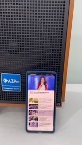 Loa Bluetooth chính hãng AZPROAZ-8 Bass 20 thùng gỗ cao cấp kèm 1 mic