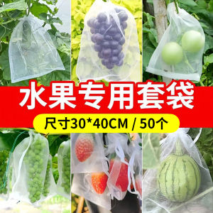 Breathable Fruit Protection Net Bag Bird And Pest Proof Traditional Design for Watermelon And Grapes Outdoor Camping Travel Supplies