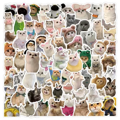 Set combo 20/60/100 miếng dán sticker mèo cute dán nón mũ bảo hiểm laptop vali sổ tay tủ lạnh đàn guitar xe máy