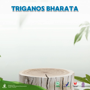 TRIGANOS BHARATA OBAT KENCING NANAH SIPILIS GONORE KEPUTIHAN SEGALA JENIS PENYAKIT KELAMNIN HERBAL