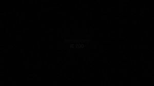 Sennheiser IE 200 Audiophile (IEM)