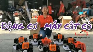 Động cơ 2 thì gắn máy cắt cỏ thương hiệu Nhật Bản