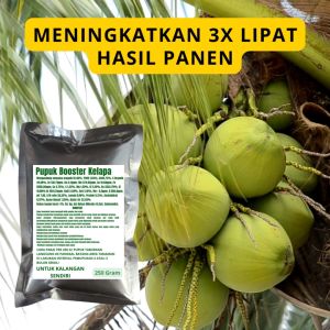 Pupuk Booster Kelapa / Obat Booster Buah Kelapa / Pupuk Booster Buah Kelapa / Pupuk Kelapa