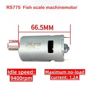 RS775 Fish Descaler Motor 18V - 775 Single Bearing Motor for Fish Scaling High Power 18V775 Motor